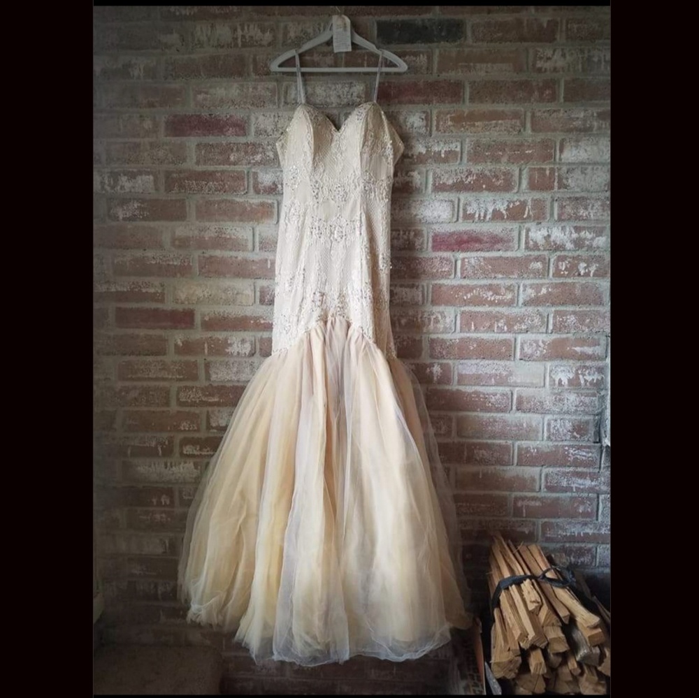 Beautiful Glistening Gold Gown